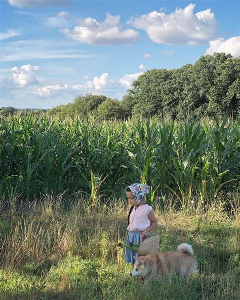 Instagram Le Glaneur Et La Glaneuse