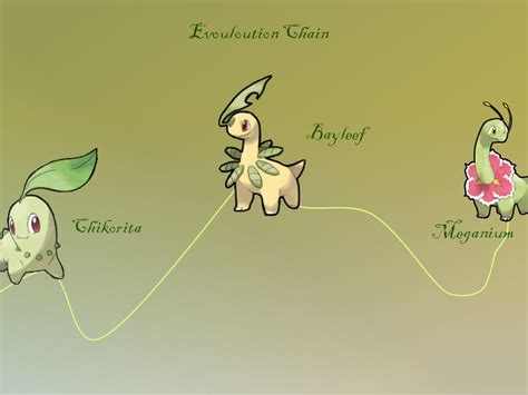 Chikorita Evolution Chain by TheMaskedBurrito on DeviantArt