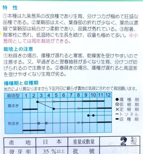 滿1200免運 LA011DIY種子栽種 成就滿滿 萬來蔥 園丁花圃 Yahoo奇摩拍賣