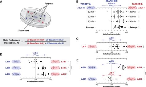 C Elegans Males Optimize Mate Preference Decisions Via Sex Specific Responses To Multimodal