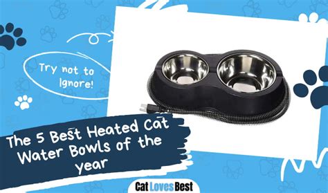 The 5 Best Heated Cat Water Bowls of 2022 - CatLovesBest