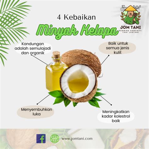 Kebaikan Tanaman Kelapa Jom Tani