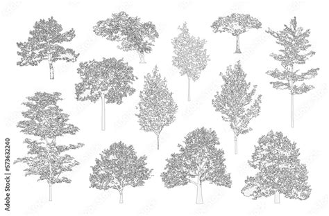 Minimal Style Cad Tree Line Drawing Side View Set Of Graphics Trees Elements Outline Symbol