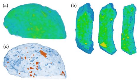 a) 3D model after tomographic reconstruction and c) semi-transparent ... 