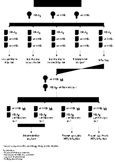 Roche Interactive Testing Algorithm