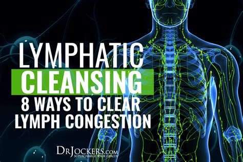 Lymphatic Cleansing 8 Ways To Clear Lymph Congestion