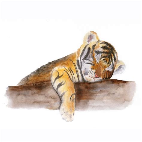 Baby Tiger Painting at PaintingValley.com | Explore collection of Baby Tiger Painting