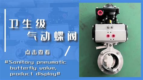 Sanitary Pneumatic Butterfly Valve Quick Disassembly Valve Smooth