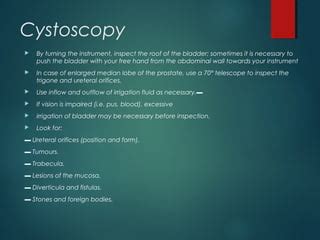 CYSTOSCOPY | PPT