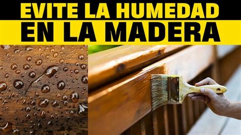 M Todos Efectivos Para Combatir La Humedad En La Madera Actualizado