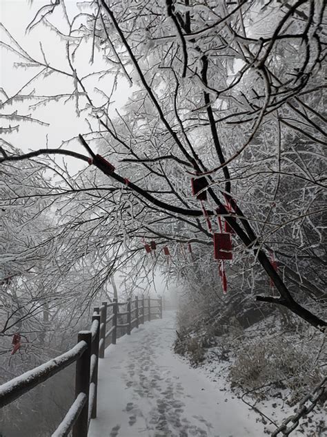 “远赴人间惊鸿宴，一睹人间盛世颜”之老君山洛阳 清明三天之行 洛阳旅游攻略 游记 去哪儿攻略