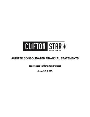 Fillable Online Audited Consolidated Financial Statements Cfo Star