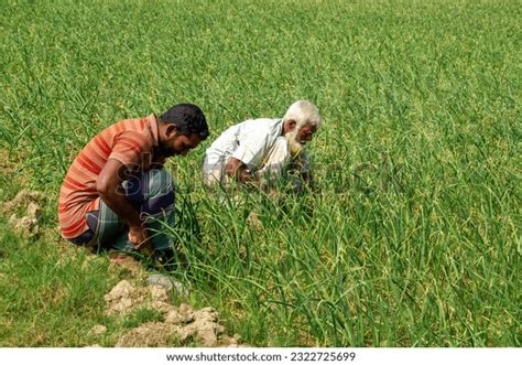 79 5 Sector Agriculture Images, Stock Photos & Vectors | Shutterstock