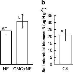 Microbial Biomass C A And N B At The End Of Labeling Ck Control