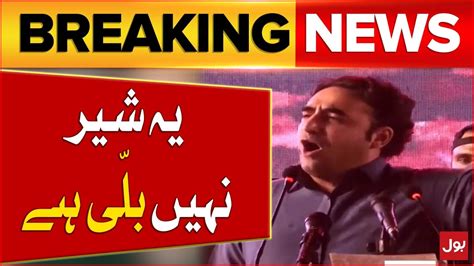 Bilawal Bhutto Lashes Out At Nawaz Sharif Pmln Vs Ppp Election 2024