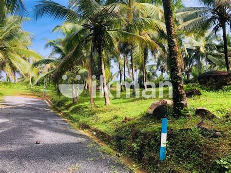 Land For Sale Bandaragama Ikman