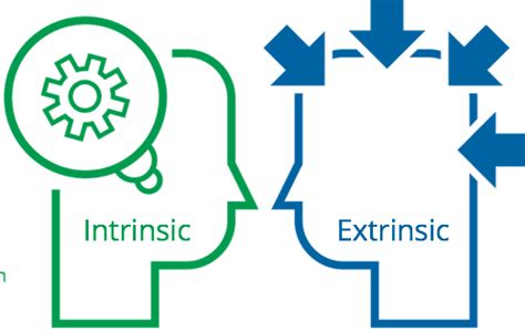 Intrinsic Vs Extrinsic