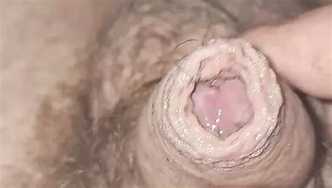 Tinychubman Trans Porn Videos Shemale Sex Xhamster