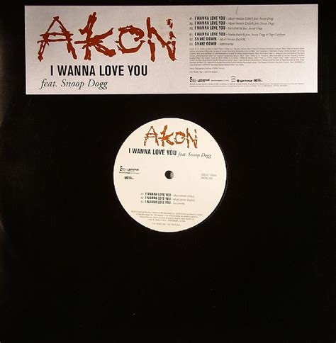 AKON I Wanna Love You vinyl at Juno Records.