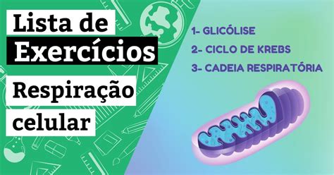 Exercicios Sobre Respira O Celular