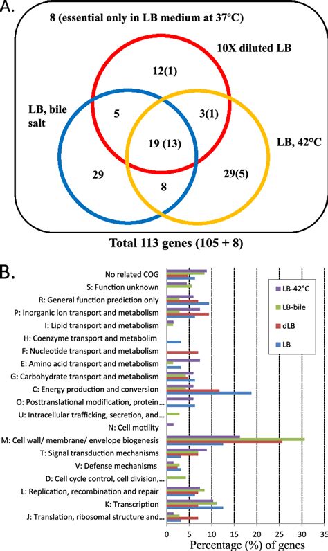 Conditionally Essential Genes A The Genes Identified As