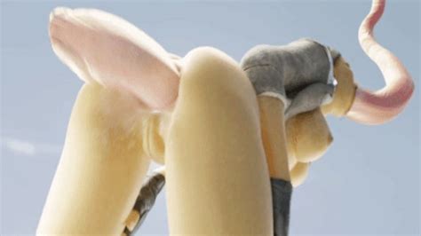 OMG Hentai Name Please Likkezg NameThatPorn