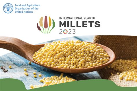 International Year Of Millets 2023 Soroptimist International