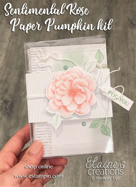 Elaine S Creations Stampin Up Paper Pumpkin Sentimental Rose