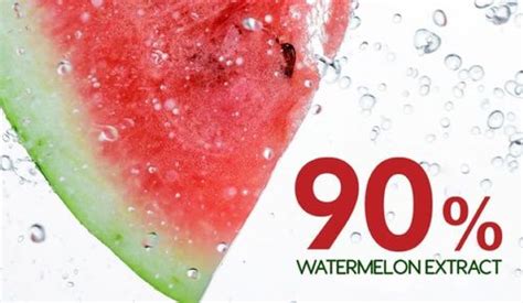 Red Pure Natural Watermelon Fruit Extract At Best Price In Chittoor