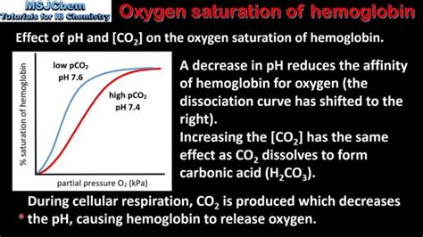 Oxygen Saturation Of Hemoglobin (HL), 60% OFF