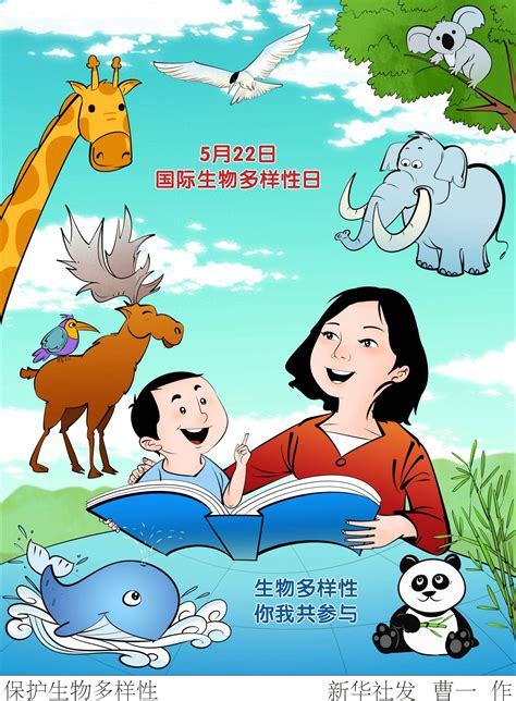 （图表·插画）国际生物多样性日｜保护生物多样性 新华社 曹一 主题