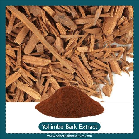 Coryanthe Yohimbe Extract Sa Herbal Bioactives