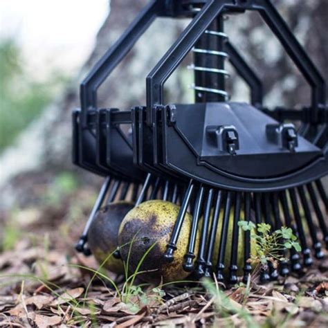 Stab A Nut Black Walnut Harvester Bag A Nut