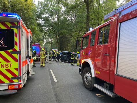 Gifhorn Albtraum Szene Autofahrerin Baut Schweren Baum Unfall News De