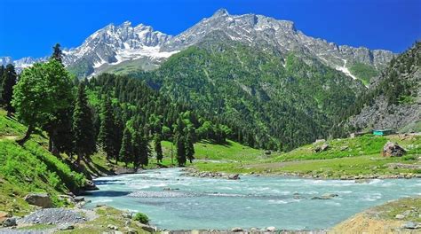 Kashmir Sonamarg