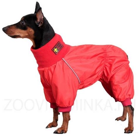 🐕Удобный комбинезон, который защитит от влаги и ветра.2-х слойный ...