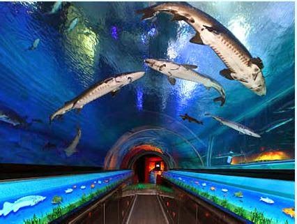 Aquarium of Genoa in Italy ~ Traveling the world