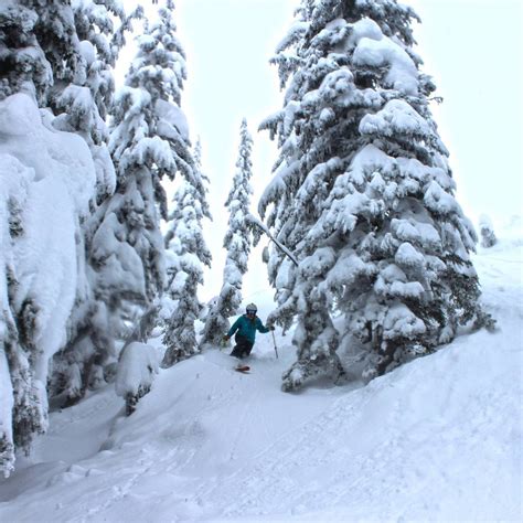 Silver Mountain Resort | Ski Trip Deals, Snow Quality, Forecast