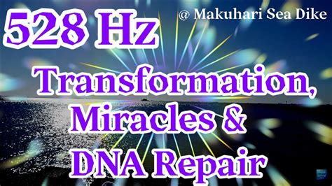 Hz Transformation Miracles Dna Repair Makuhari Sea Dike