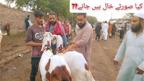 Wenasdey Update RajanPuri Bakre Khasi Qurbani Ka Mall Sindhi Khasi