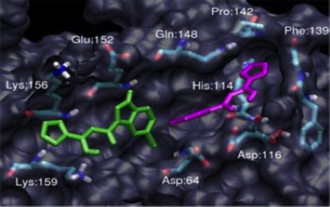 Computational Drug Discovery Clinical Translation