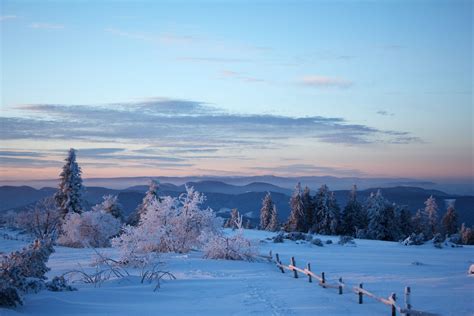 Schliffkopf, Black Forest, Germany