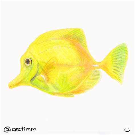 drawing a yellow fish - cectimm