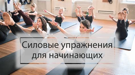 Силовые упражнения для начинающих