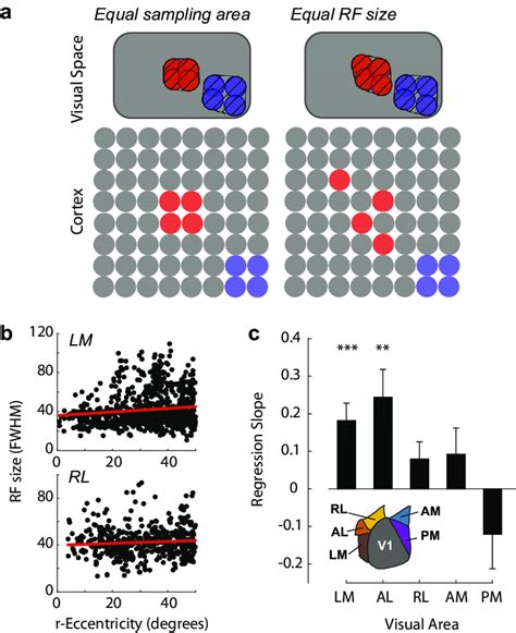 Receptive Fields In Three Higher Visual Areas Are Larger At Greater Download Scientific Diagram