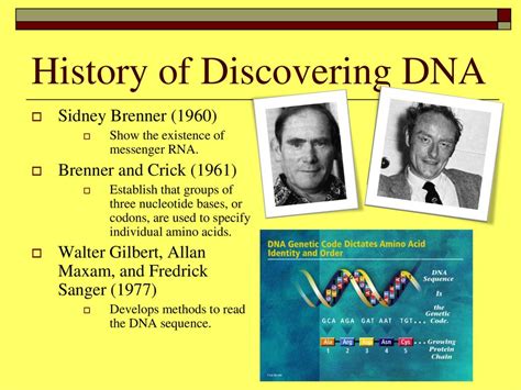 Unit Genetics Learning Goal Describe The Structure Of Dna Its