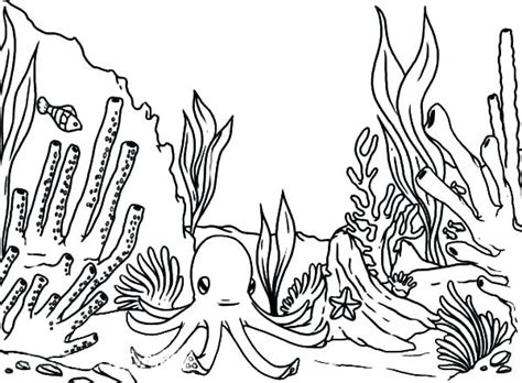 Ocean Plants Drawing at GetDrawings | Free download