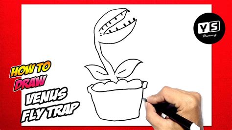 How To Draw A Venus Fly Trap