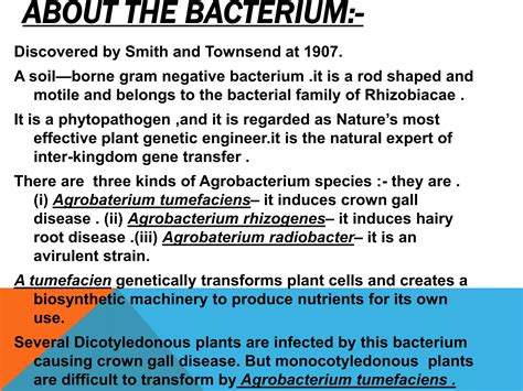 Agrobacterium Tumefacienspptit Is A Slide Presentation On