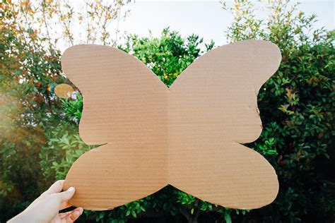 DIY Cardboard Butterfly Wings - Playfully